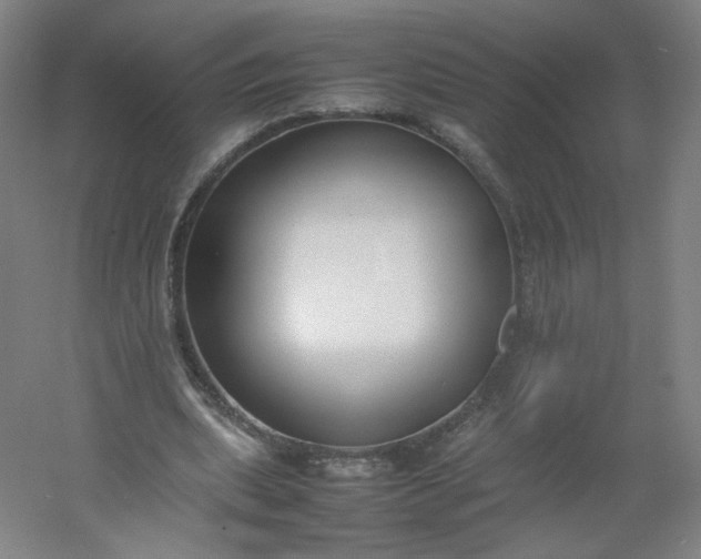 X0000054390439200508121637