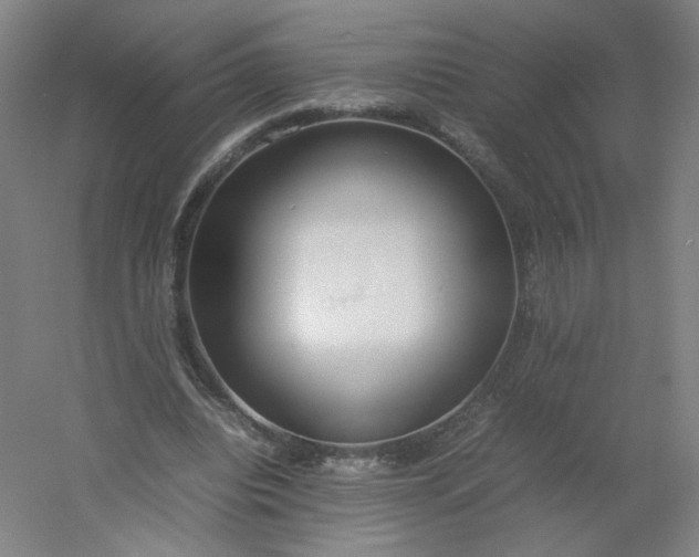 X0000054390440200508121637