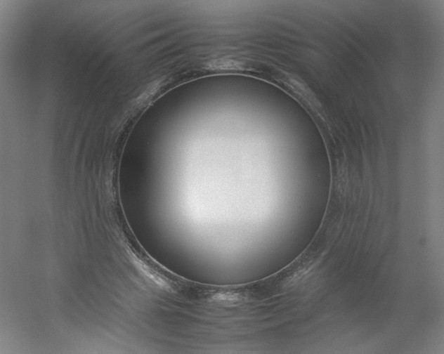 X0000054390441200508121637