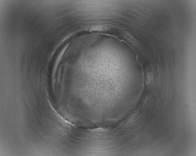 X0000054390444200508121637