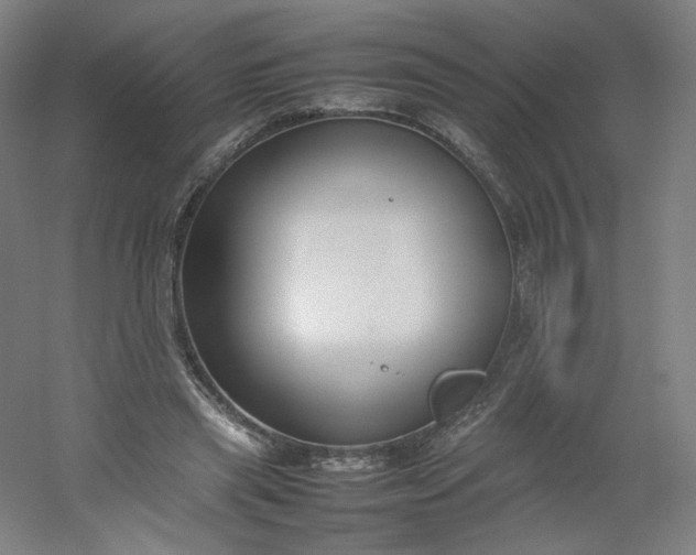 X0000054390445200508121637