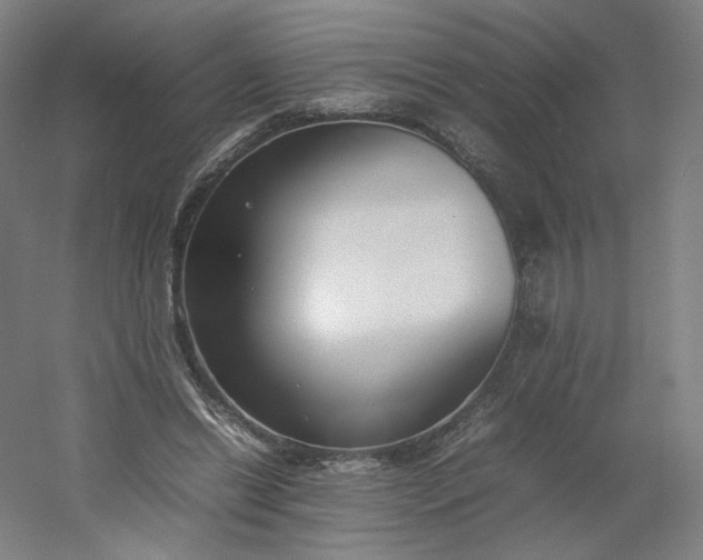 X0000054390446200508121637