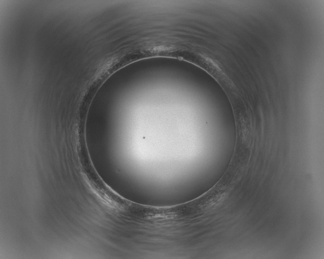 X0000054390447200508121637