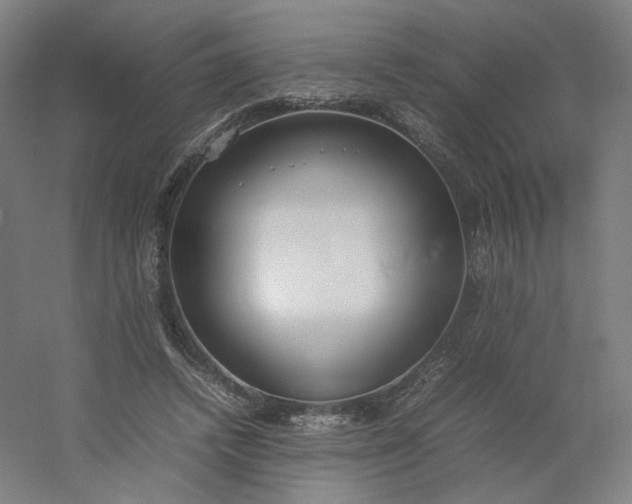 X0000054390448200508121637