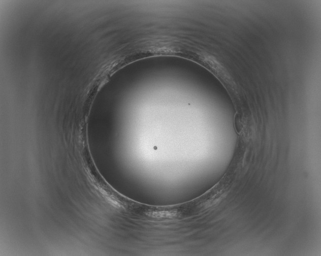 X0000054390449200508121637