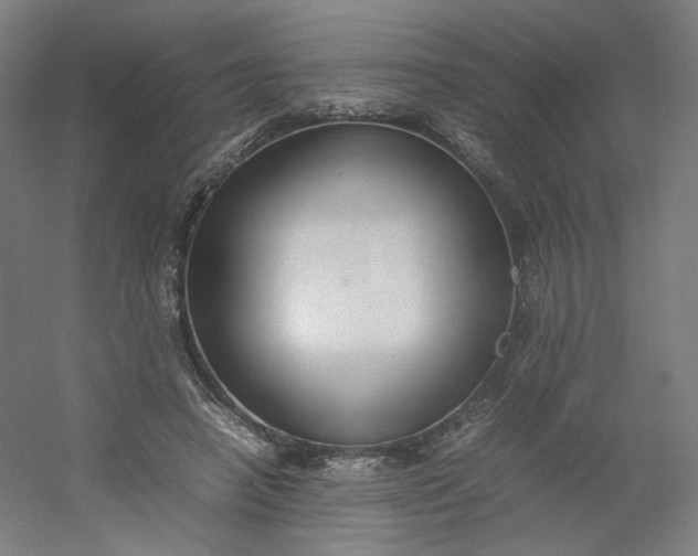 X0000054390450200508121637