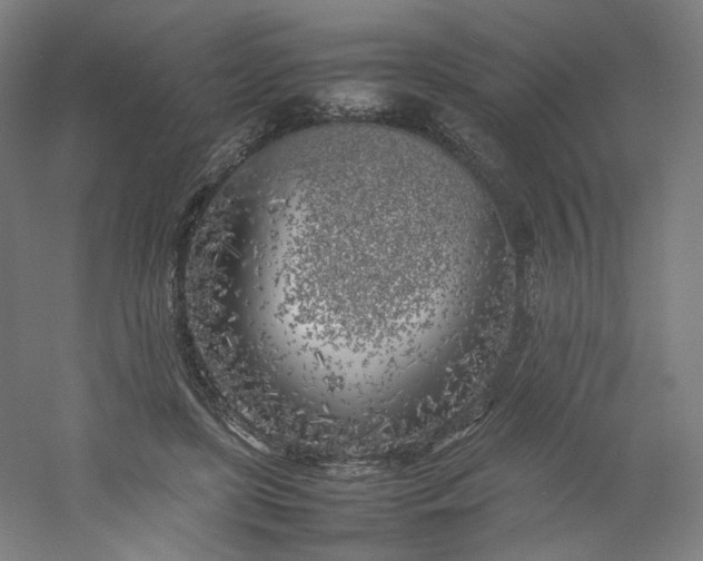 X0000054390451200508121637