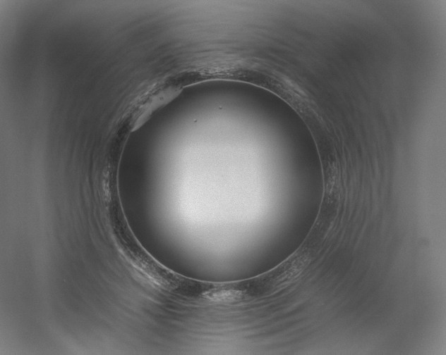 X0000054390452200508121637