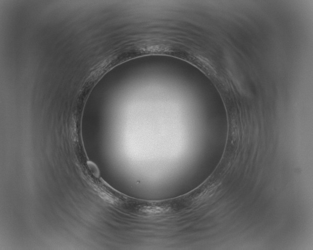 X0000054390453200508121637