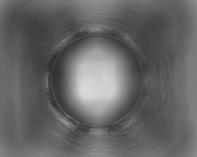 X0000054390454200508121637