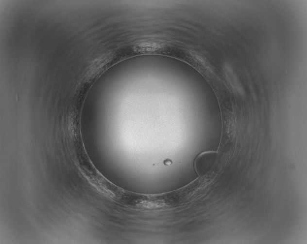 X0000054390455200508121637