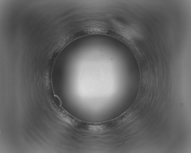 X0000054390457200508121637