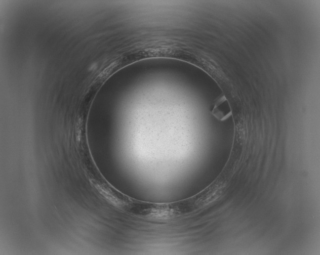 X0000054390458200508121637