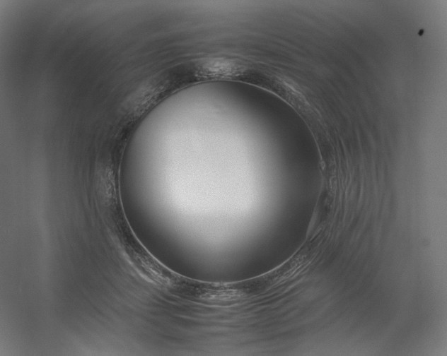 X0000054390459200508121637