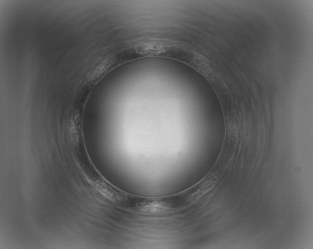 X0000054390460200508121637