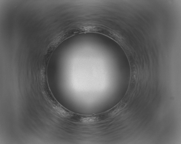 X0000054390461200508121637