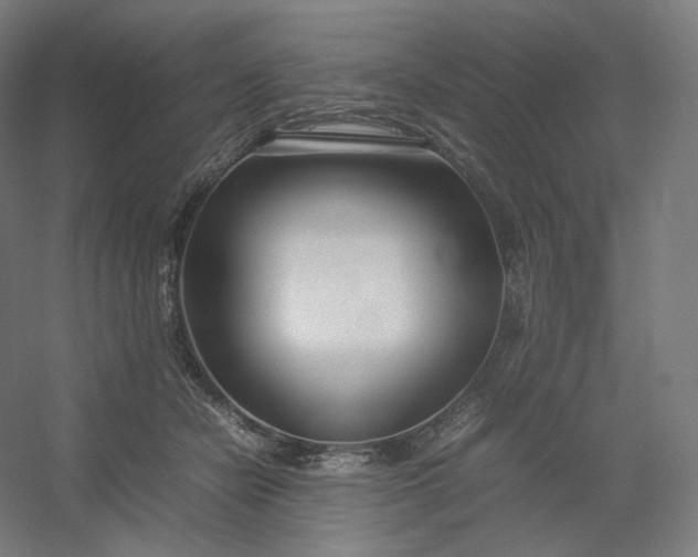 X0000054390462200508121637