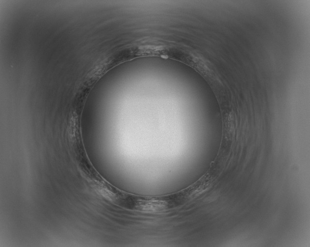 X0000054390463200508121637