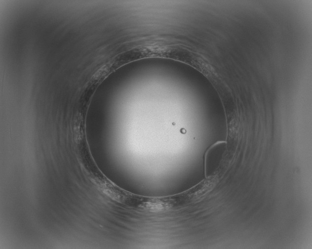 X0000054390464200508121637