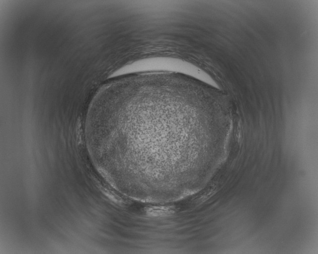 X0000054390465200508121637