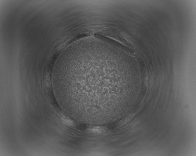 X0000054390467200508121637