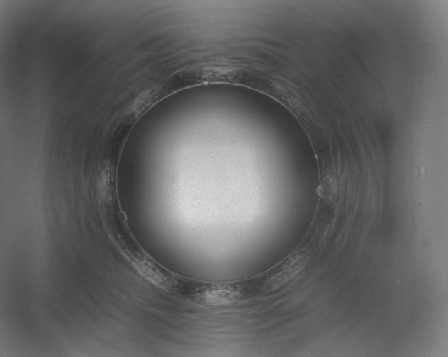 X0000054390468200508121637