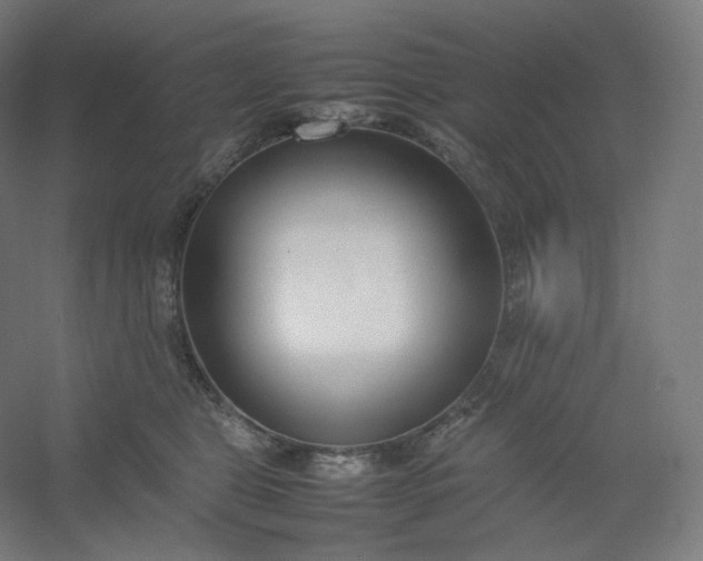 X0000054390469200508121637