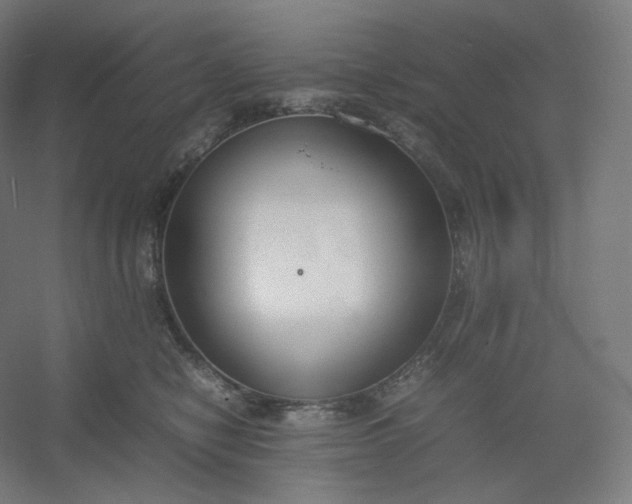 X0000054390470200508121637