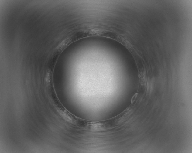 X0000054390472200508121637