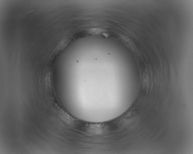 X0000054390473200508121637