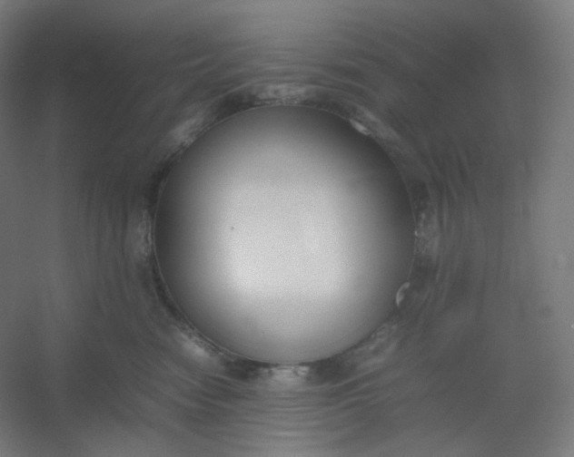 X0000054390474200508121637