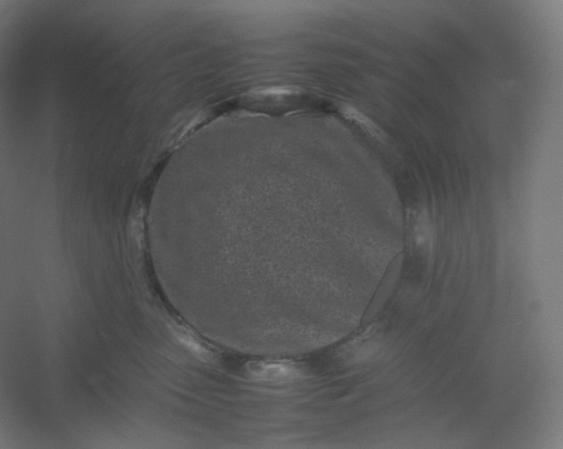 X0000054390475200508121637