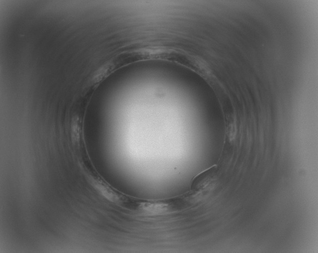 X0000054390476200508121637