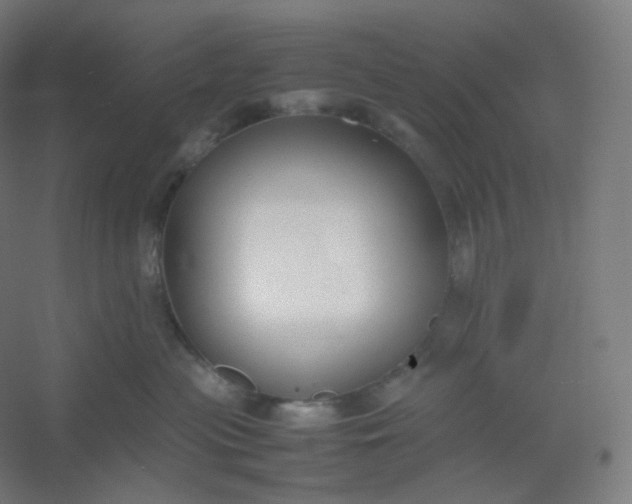 X0000054390477200508121637