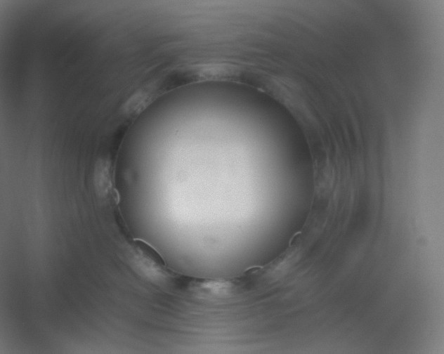 X0000054390478200508121637