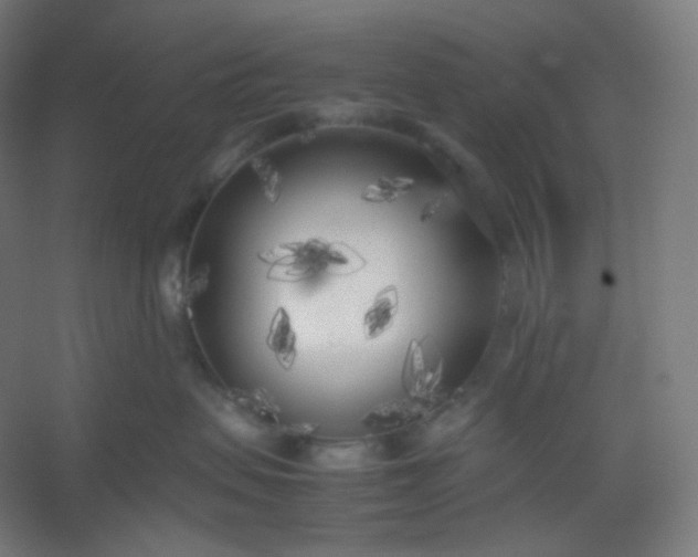 X0000054390479200508121637