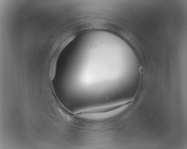 X0000054390481200508121637