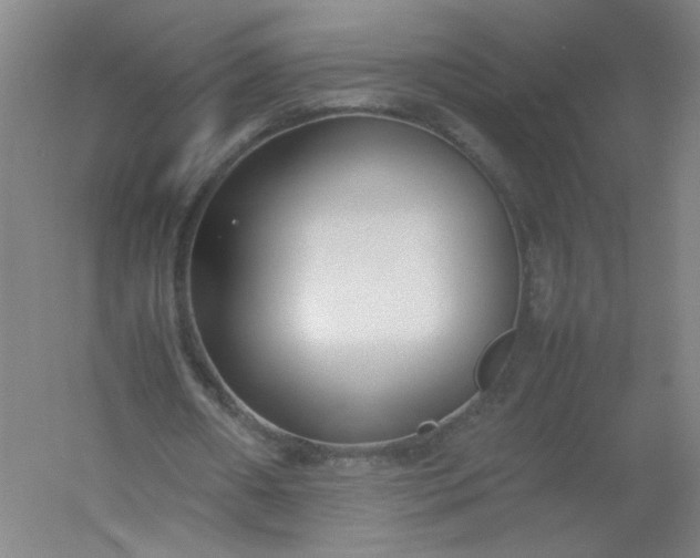 X0000054390482200508121637