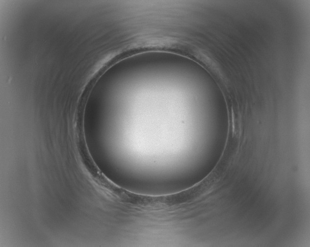 X0000054390483200508121637