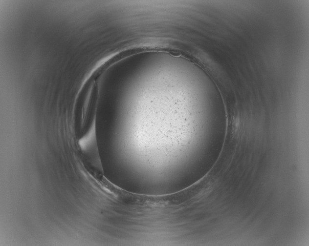 X0000054390484200508121637