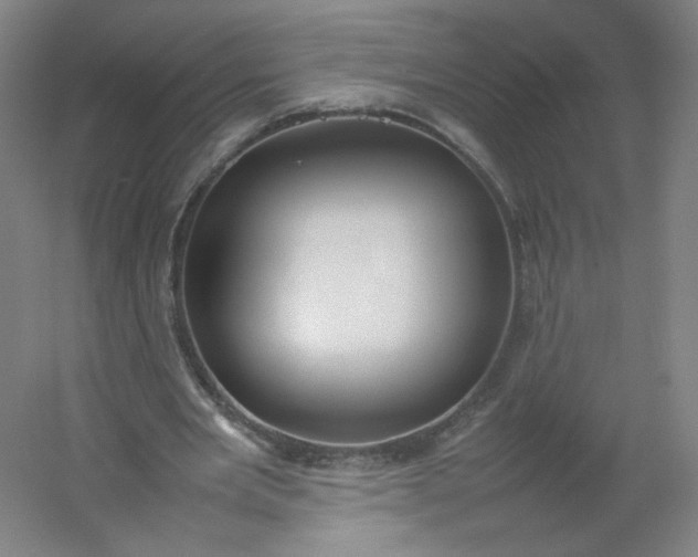 X0000054390485200508121637