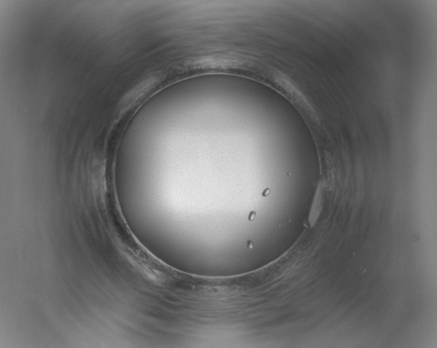 X0000054390486200508121637