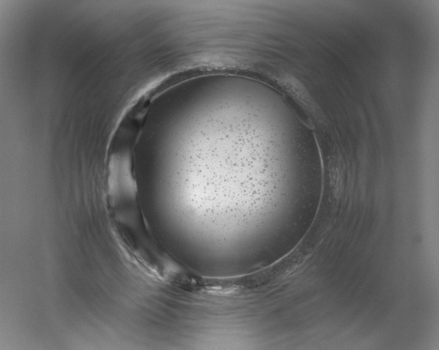 X0000054390488200508121636