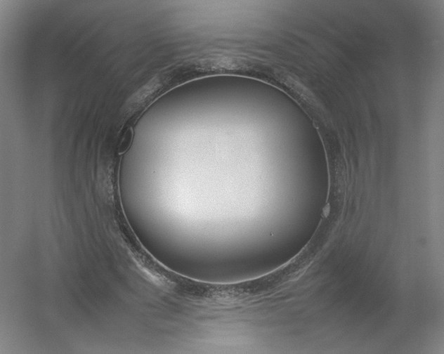 X0000054390489200508121636