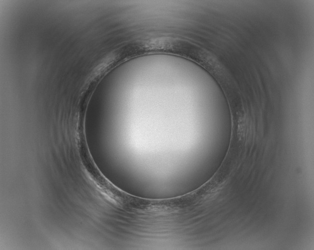 X0000054390490200508121636