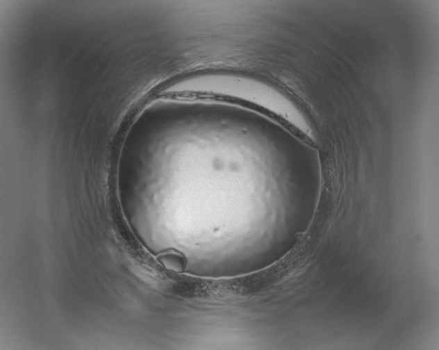 X0000054390491200508121636