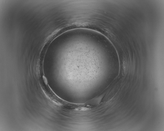 X0000054390492200508121636