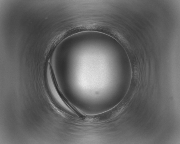 X0000054390493200508121636