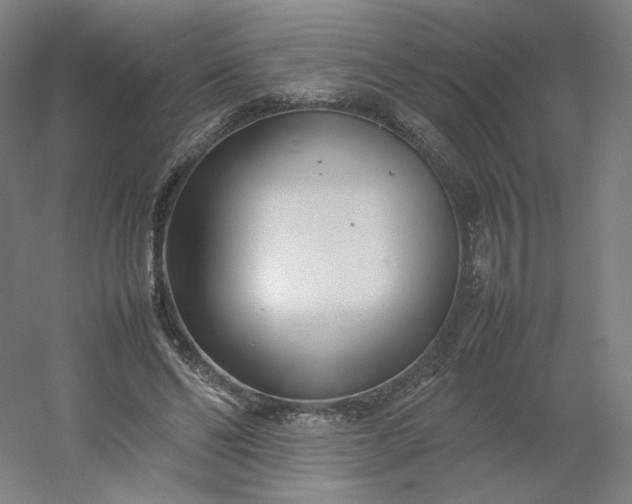 X0000054390494200508121636