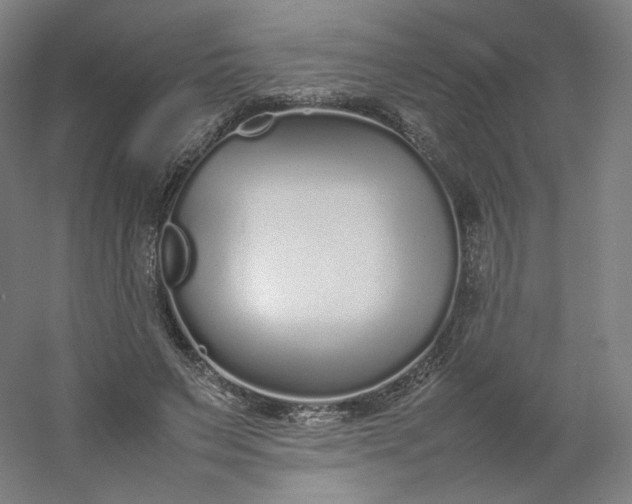 X0000054390495200508121636